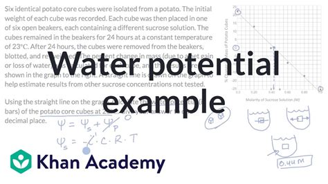 determination of water potential by gravimetric method|how to determine water potential.